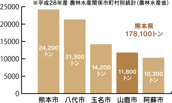 平成28年度 農林水産関係市町村別統計(農林水産省より) 熊本県合計178,100トン